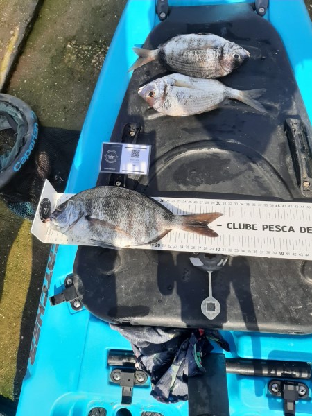 Fish Measure Picture